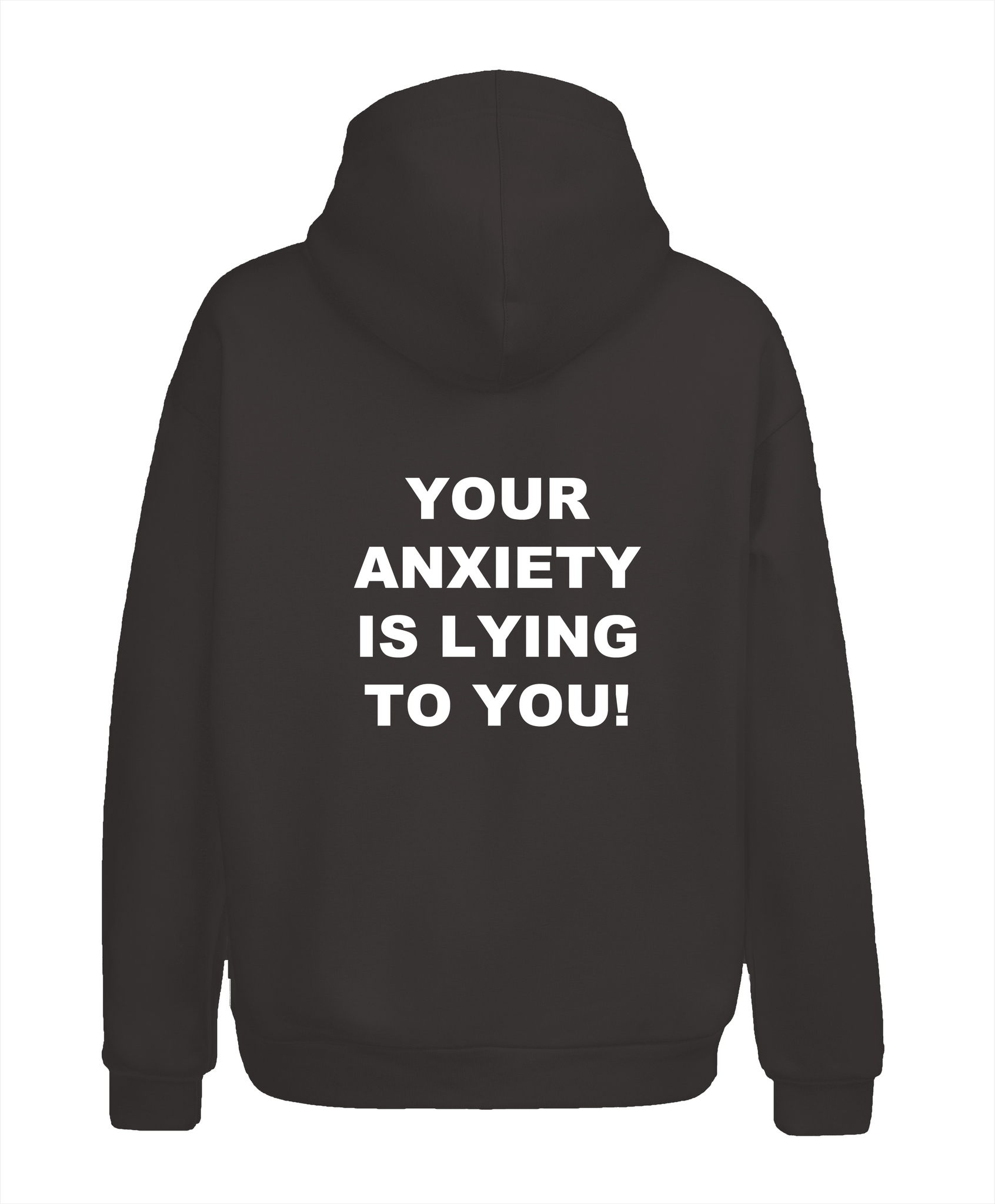 Your Anxiety Is Lying To You! Hoodie